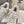 Golden Goose 2025 Wool-Lined Dirty Sneaker Ivory mix Red Cowhide 491638