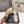 CC 26s Slingback 6.5cm Beige Distinct Woven 888094