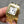 PANTHERE 22MM GOLD CASE WHITE DIAL
