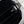 CD 25 Contrast Ribbon Suit Black velvet