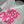 CD 25 Miss Dior T-shirt White Pink Cotton