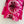 CD 25 Maglietta a maniche lunghe con motivo color dopamina in cotone rosa