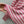 CD Navy Style Collared Sweater Pink Wool