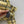 Balmain 26s Plaid Tweed Jacket Yellow Black Tweed 346061