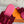 HM Lagune Sandal Hot Pink Burgundy Suede
