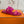HM Lagune Sandal Hot Pink Suede