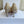 CD 26s Adioable Pump 8cm Monogram Beige Mesh Lambskin 909644