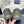 CD B33 Sneaker 30mm In Grey Green Monogram Calfskin 100556