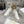 CD Dior Star Platform Sneaker In White Cowhide 996424