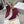 CD Tribales Heeled Ankle Boot 65mm In Burgundy Suede 996428