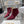 CD Tribales Heeled Ankle Boot 65mm In Burgundy Suede 996428