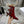 D-Idole Heeled Ankle Boot In Red Glossy Lambskin 996442