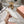 Miu Ballerinas White Brown Technical Mesh Leather 751307