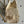Chanel 2025 Backpack 23cm Light Yellow Grained Calfskin 318276