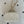 Chanel 2025 Vanity 17cm Bag White Caviar Leather 320299
