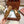 LP Dot sole walk mocassin Copper Brown Suede 215001