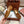 LP Dot sole walk mocassin Cocoa Suede 214999