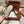 LP Dot sole walk mocassin Cocoa Suede 214999