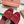LP 25C Summer Charms Mules 55MM Merlot Pink Suede 215024