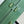 Rimowa 2025 Essential Suitcase Sage Green Polycarbonate 274081