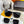 SQUARE SUNGLASSES L1551 IN ACETATE