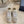 CD B30 Sneaker Grey Beige Mix Brown Polyester Mesh Fabric And Calfskin