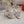 RC Flower Sandals Beige Sheepskin Rhinestones 328467