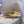 The Row 2025 Ballet Flat Gold Sheepskin 557425