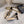 CC FW26 Square Cap Toe Slingback 8.5cm Black Beige Patent Leather 723689