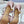 ROCKSTUD WISPY CREPE PINK CALFSKIN MULE 60MM