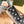 Scarpe basse GG Supreme nere Caro