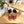 GG 26ss Platform Wedge Sandals 10cm Red Straw Canvas 692206