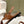 Sandal Ines Tan Lambskin
