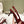 Miu x Balanc Small Bow Buckle SlingBack 45mm Burgundy Patent Leather 445863