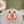 Miu Sneakers Orange Canvas 445548