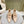 CC 24A Pearl Bow Ankle Boots 65mm Beige Sheepskin 447469