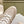 LV Neo Run Away Sneaker 50mm Beige Cowhide