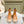 LV Ruby Flat Ankle Boot 50mm Light Brown Cowhide 450432