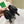 BV Kitten Heels Pumps 45mm Black Horsehair 448414