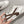 Miu Gymnasium Sneakers Brown White Technical Fabric & Suede 445725