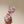 RC 25 Thong Bow Attached Flat Sole Pink Silk Rhinestones 268065
