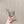 Alaia 2025 Vienne Cutout Kitten-Heel Slide Sandals Silver Leather 293647