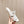 Alaia 2025 Vienne Cutout Kitten-Heel Slide Sandals White Leather 293650