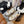 cc classic sneaker white fabric gold metalic calfskin