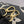 madeleine 30 black white grained embossed calfskin