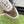 GG Men's Sneaker Brown White Canvas Calfskin 523337