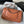 flap bag medium 25 brown lambskin silver hardware