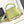 CAPUCINES MINI 21 IN PEAR GREEN TAURILLON GOLD HARDWARE