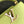 CAPUCINES MINI 21 IN PEAR GREEN TAURILLON GOLD HARDWARE