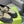 GG Men's 25 Maxi GG Lace up Sneaker Brown Black Cowhide